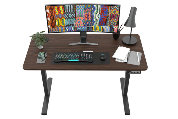 120x60cm Escritorio de pie, Escritorio eléctrico de Altura Ajustable, motorizado (Negro)